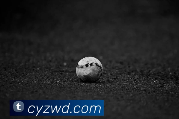 问鼎28APP 封面图